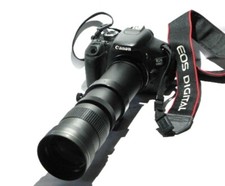 800mm lens on for Wildlife