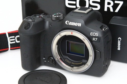 Canon eos body mirrorless - eos,